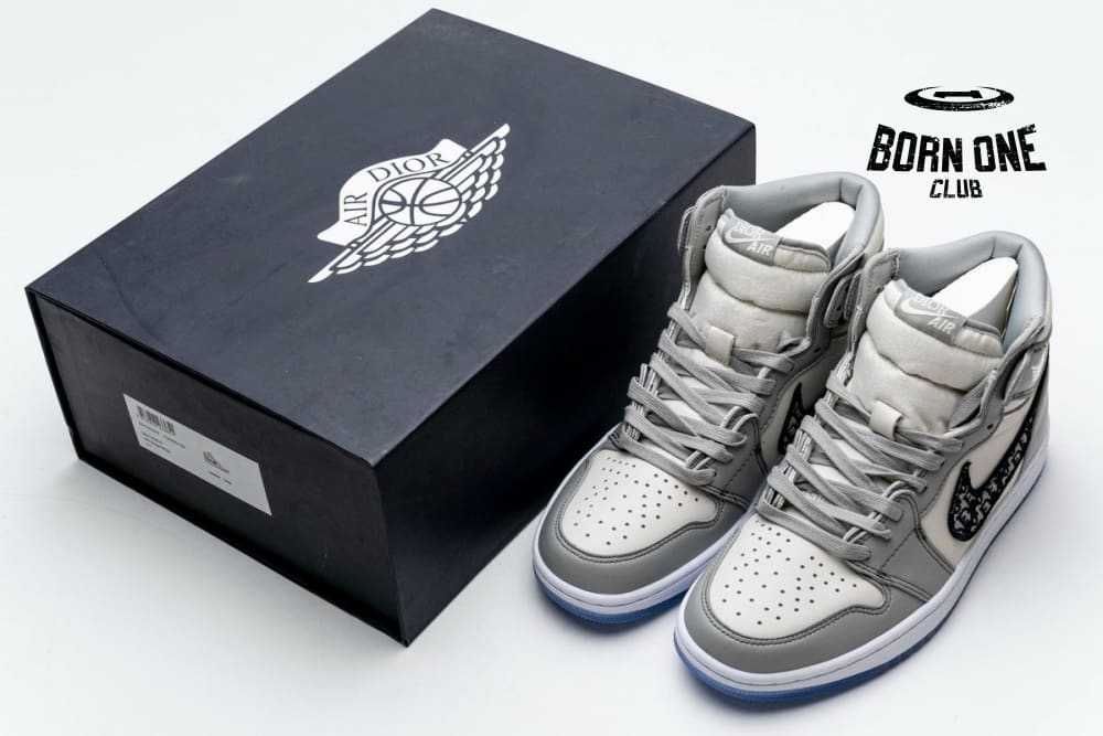 Air Jordan 1 Retro High Dior CN8607-002