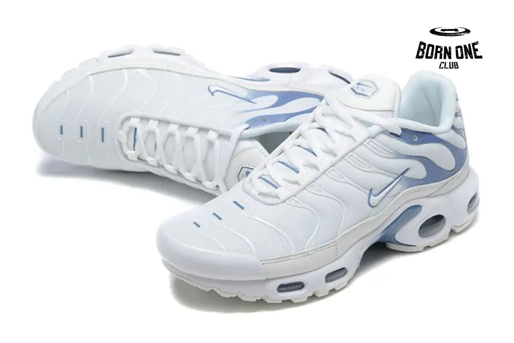 Air Max TN Plus Ashen Slate
