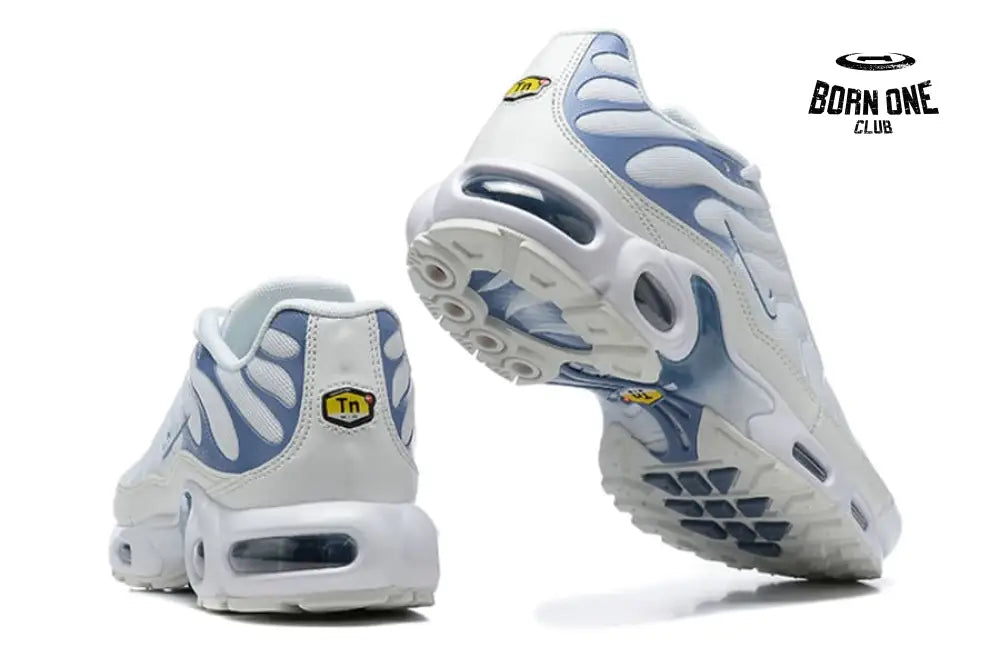 Air Max TN Plus Ashen Slate