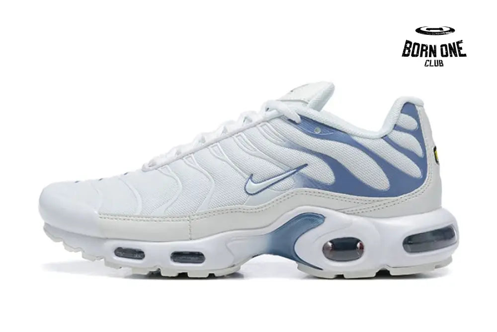 Air Max TN Plus Ashen Slate