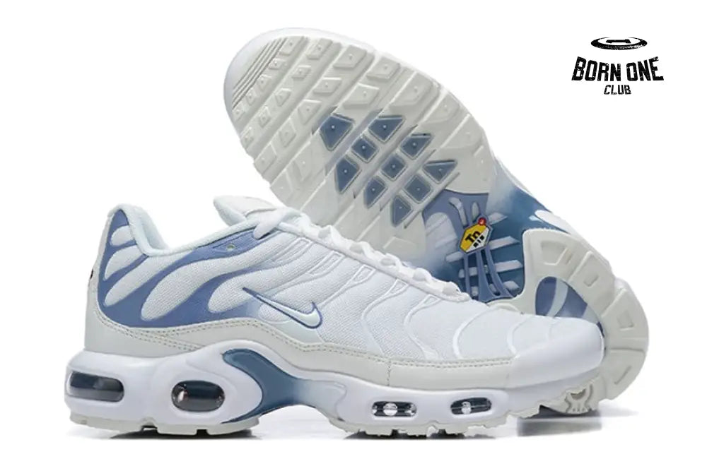 Air Max TN Plus Ashen Slate