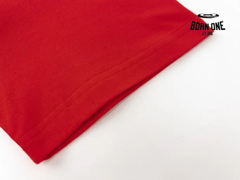 Camiseta Stussy