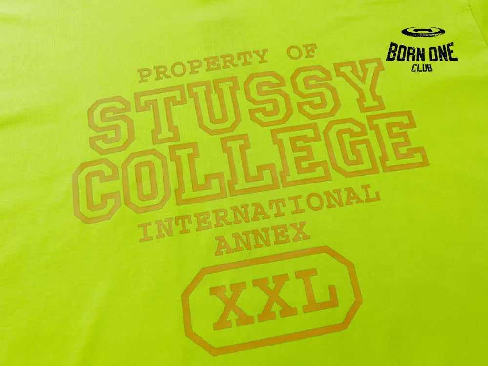 Camiseta Stussy
