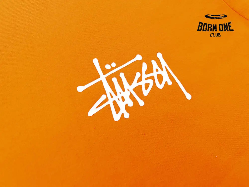 Camiseta Stussy