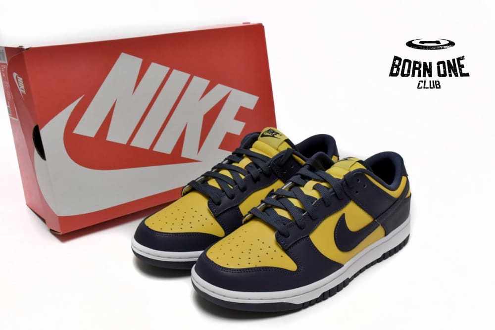 Nike Dunk Low Michigan (2021) DD1391-700