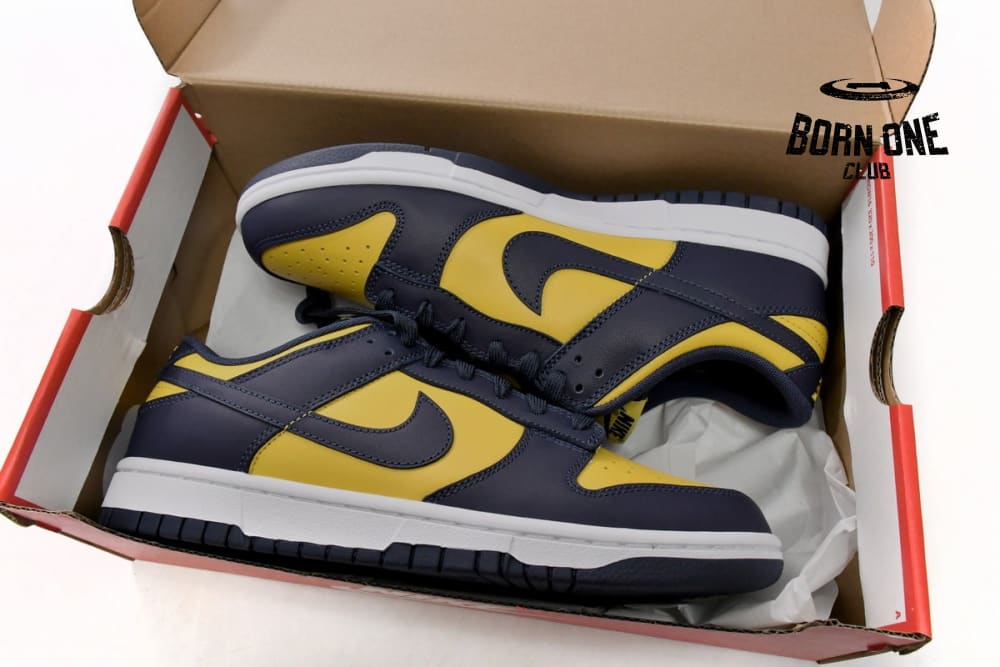 Nike Dunk Low Michigan (2021) DD1391-700