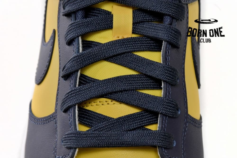Nike Dunk Low Michigan (2021) DD1391-700
