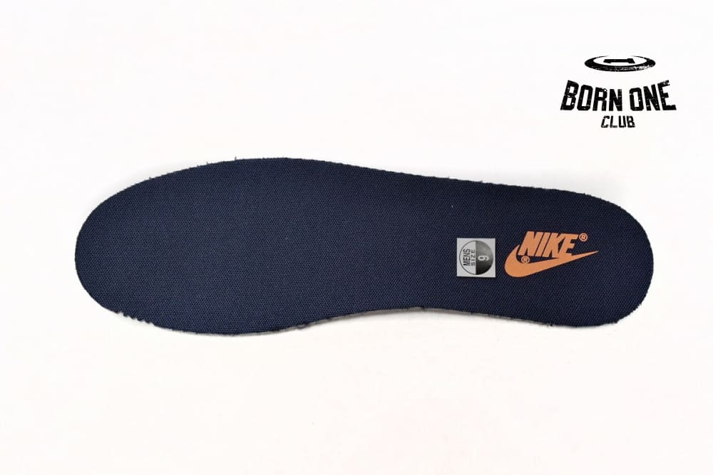 Nike Dunk Low Michigan (2021) DD1391-700