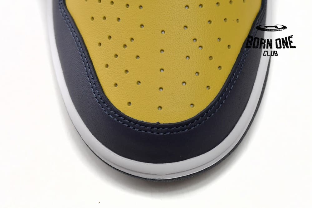 Nike Dunk Low Michigan (2021) DD1391-700