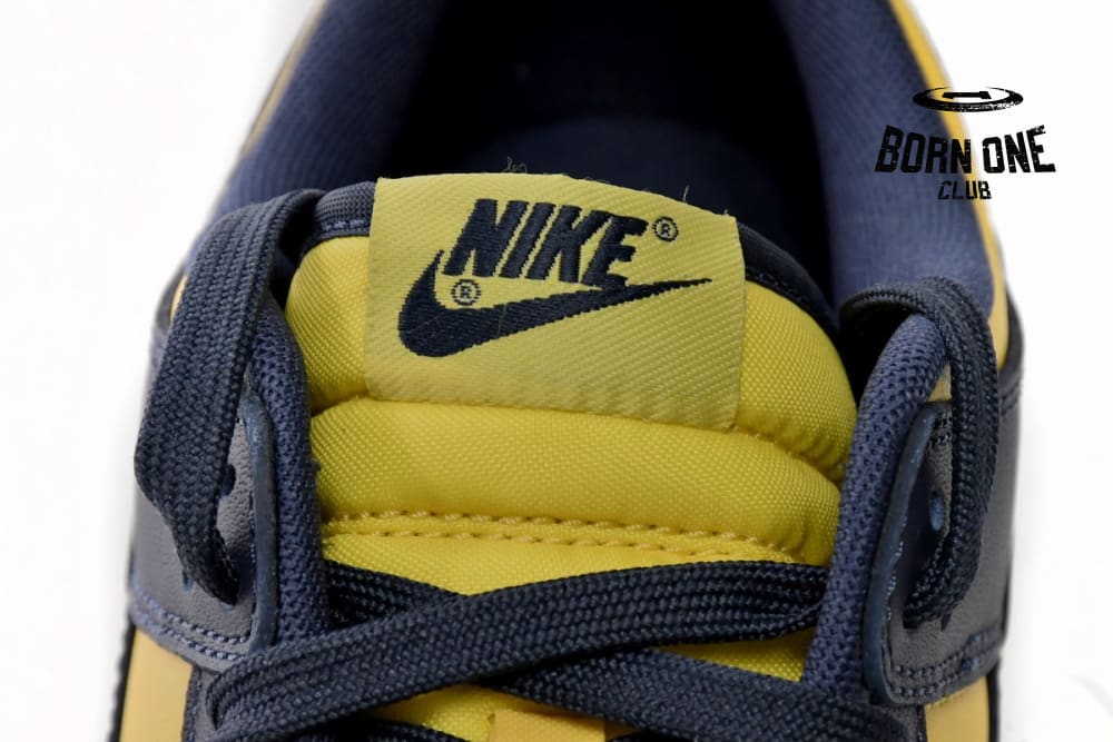 Nike Dunk Low Michigan (2021) DD1391-700