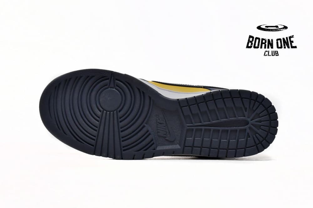 Nike Dunk Low Michigan (2021) DD1391-700