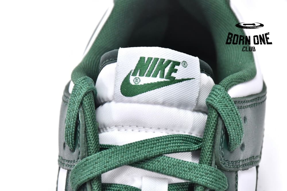 Nike Dunk Low Michigan State DD1391-101