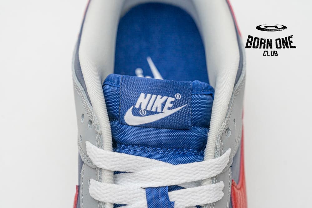 Nike Dunk SB Low Co.JP Samba (2020) CZ2667-400