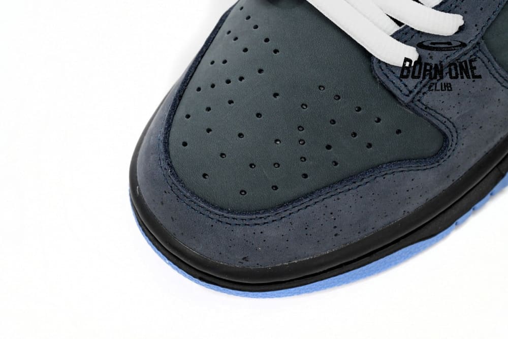 Nike SB Dunk Low Concepts Blue Lobster 313170-342