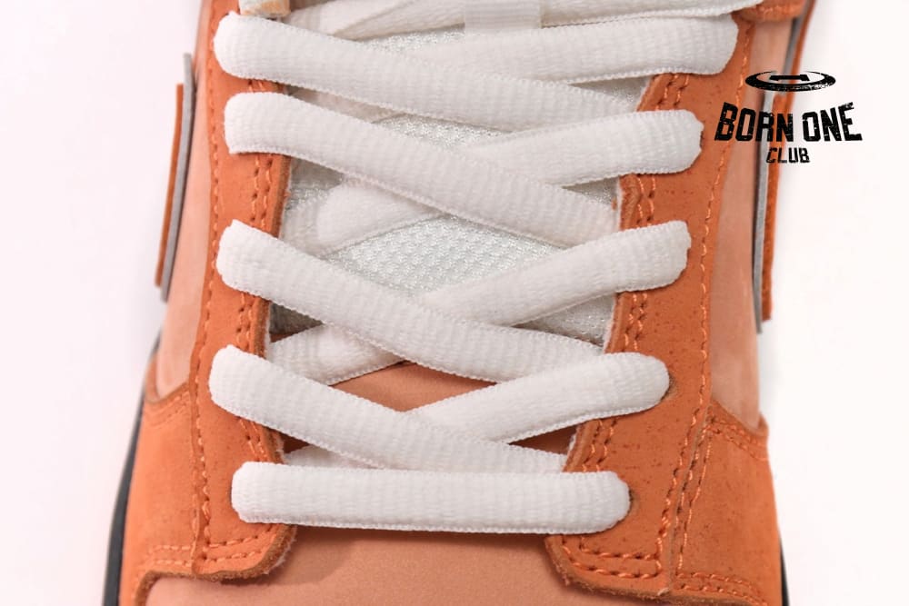 Nike SB Dunk Low Concepts Orange Lobster FD8776-800
