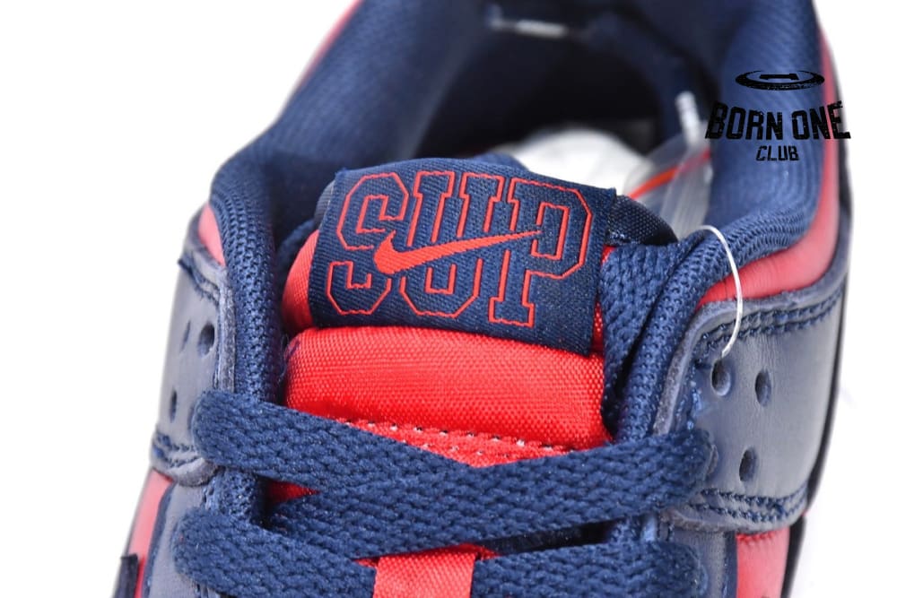Nike SB Dunk Low Supreme By Any Mean DO7412-982