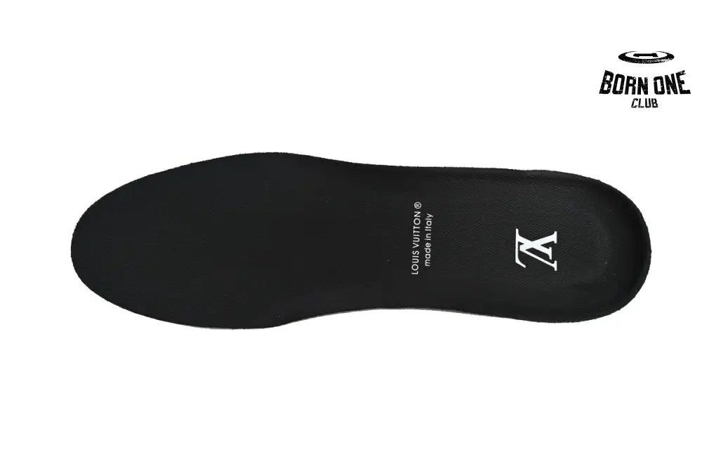 Louis Vuitton LV Skate Sneaker Black White 1AARR2