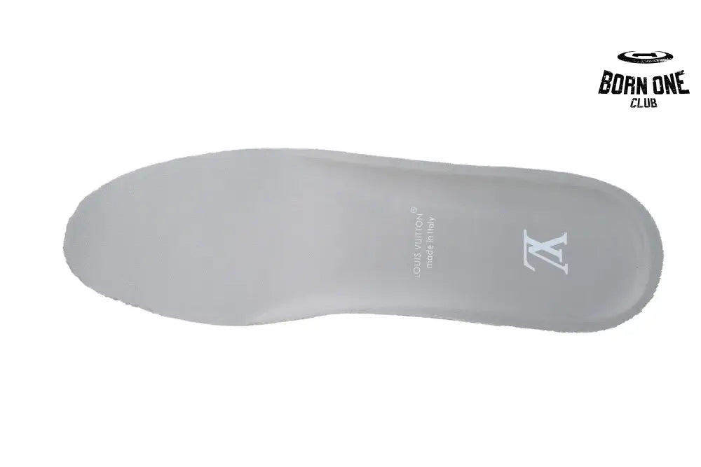 Louis Vuitton LV Skate Sneaker Grey 1ABZ5X