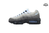Nike Air Max 95 Aluminum CD1529-001