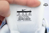 Nike Air Max 95 Aluminum CD1529-001