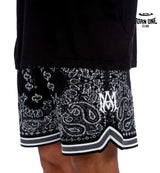 Amiri Shorts