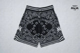 Amiri Shorts