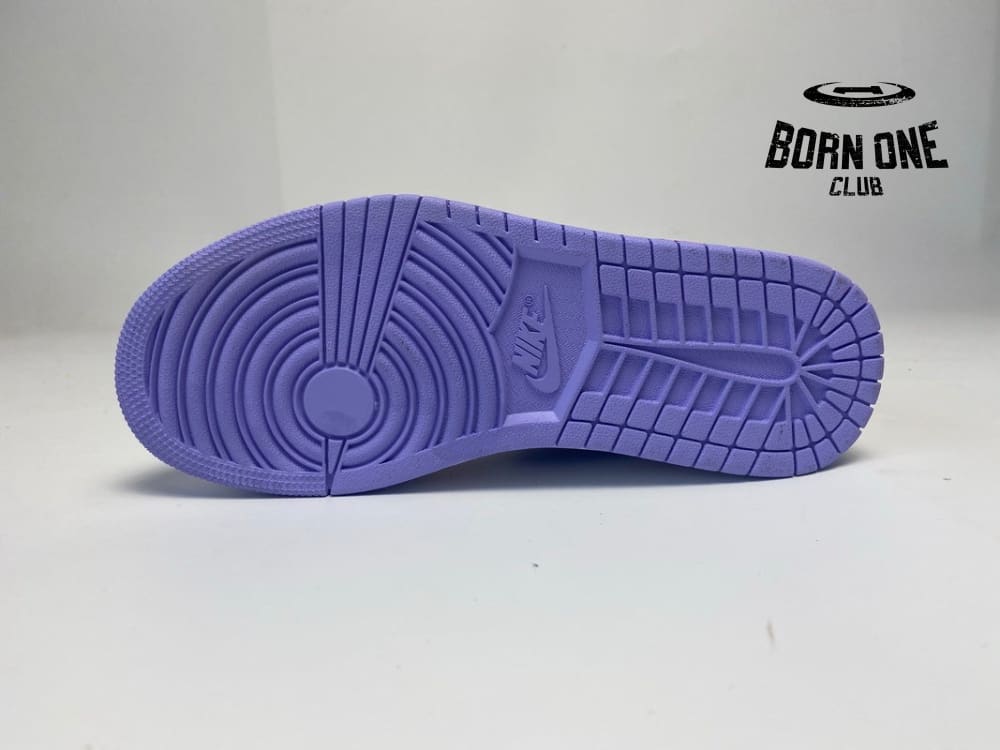 Air Jordan 1 Low SE Arctic Punch CK3022-600
