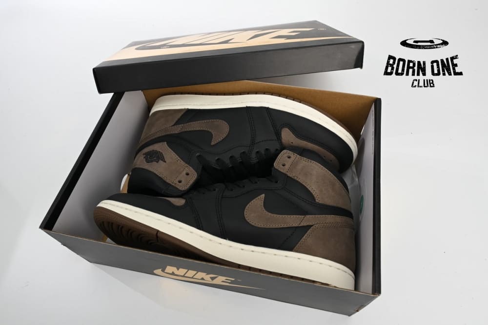 Air Jordan 1 Retro High OG Palomino DZ5485-020