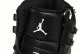 Air Jordan 12 Grey Wolf CT8013-019