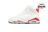 Air Jordan 6 Red Oreo CT8529-162
