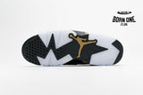 Air Jordan 6 Retro DMP CT4954-007