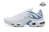 Air Max TN Plus Ashen Slate