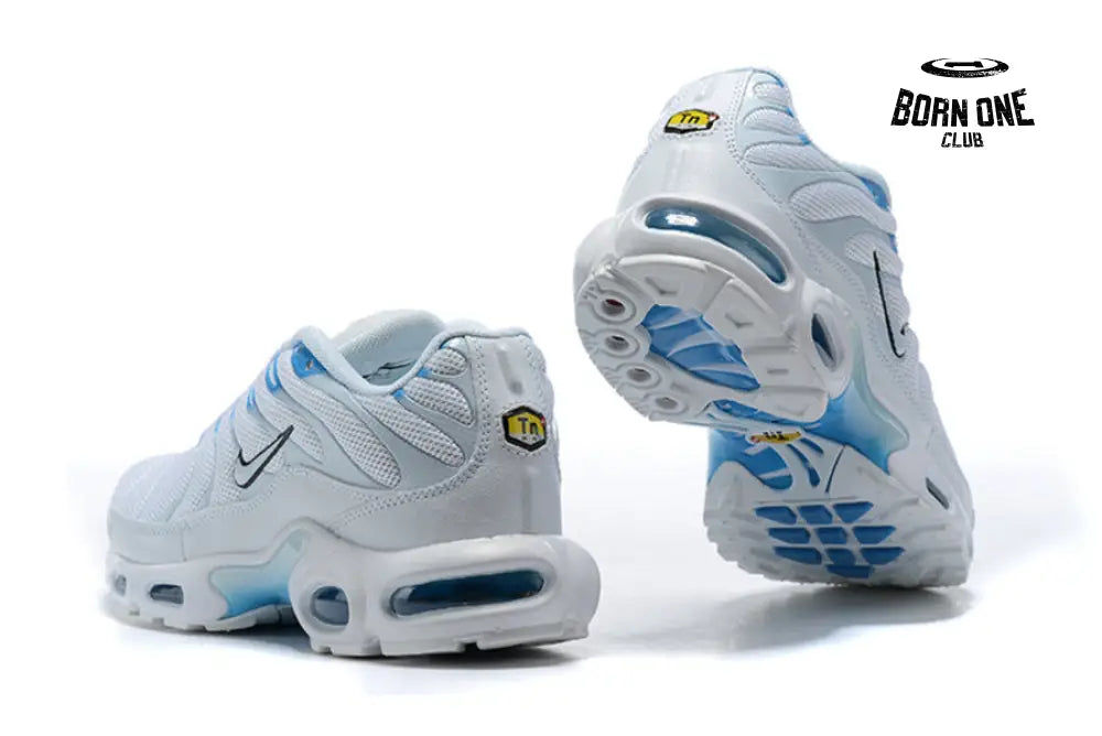Air Max TN Plus Blue Fury