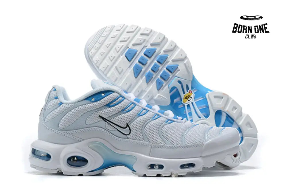 Air Max TN Plus Blue Fury