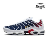 Air Max TN Plus PSG