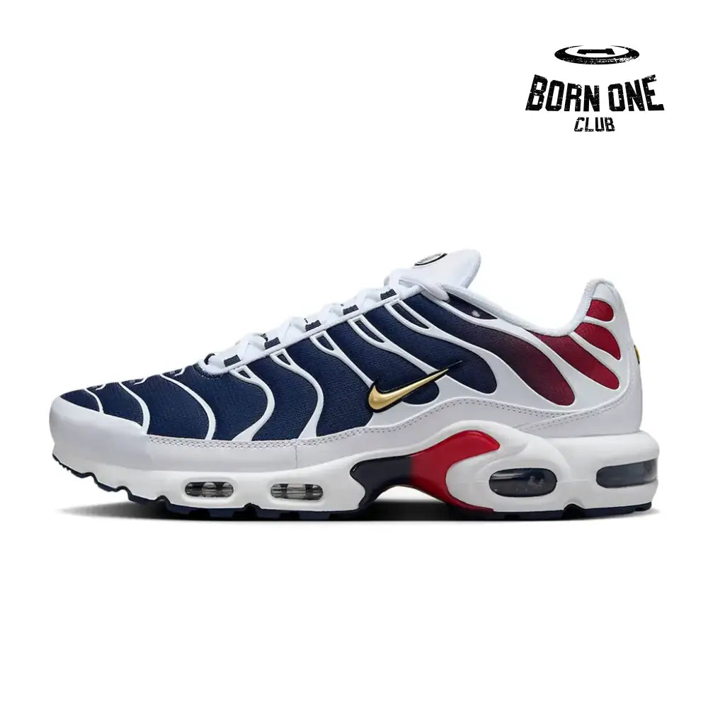 Air Max TN Plus PSG
