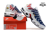 Air Max TN Plus PSG