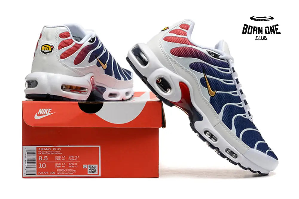 Air Max TN Plus PSG