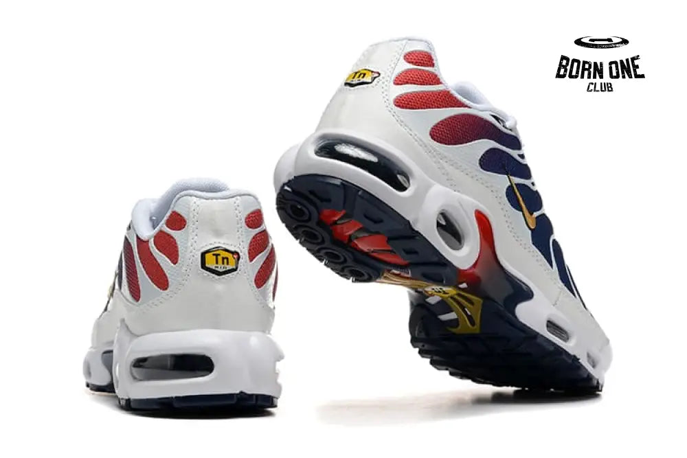 Air Max TN Plus PSG