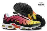 Air Max TN Plus Raibow