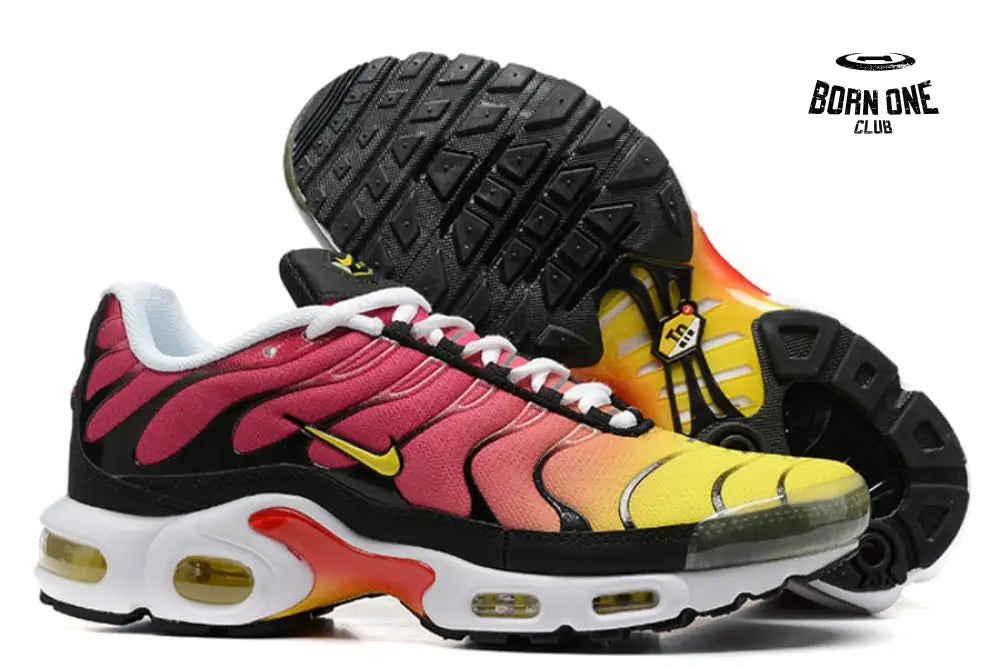 Air Max TN Plus Raibow