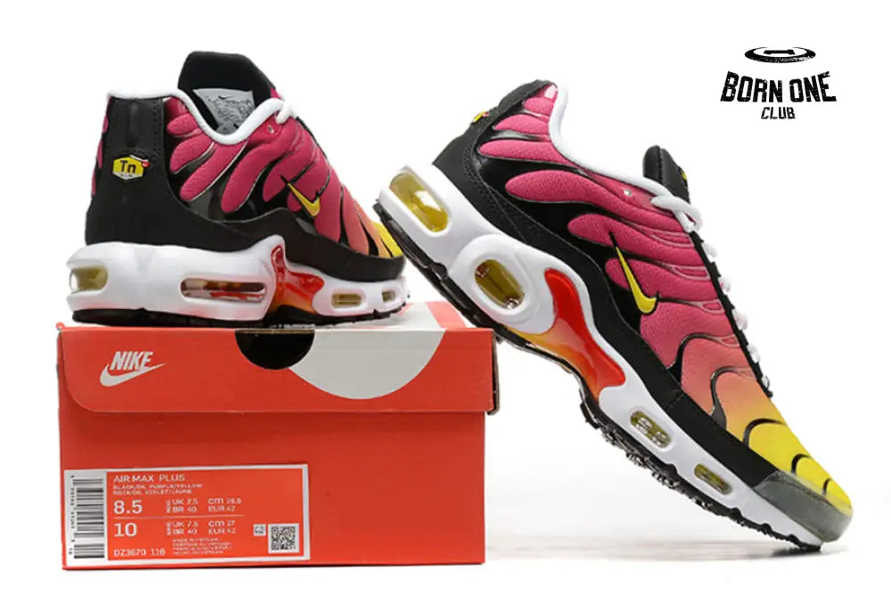 Air Max TN Plus Raibow
