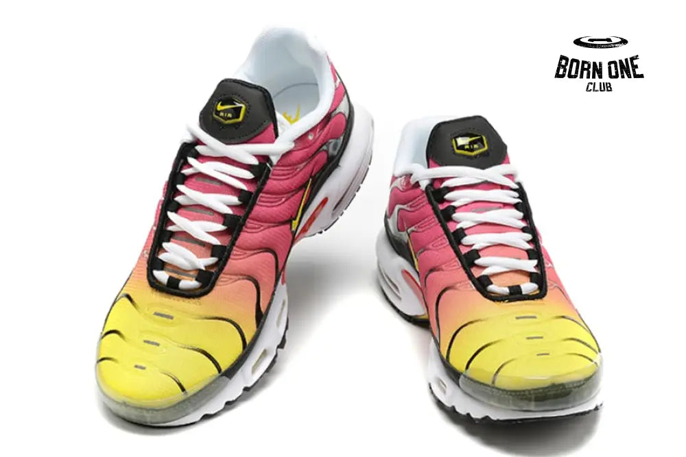 Air Max TN Plus Raibow