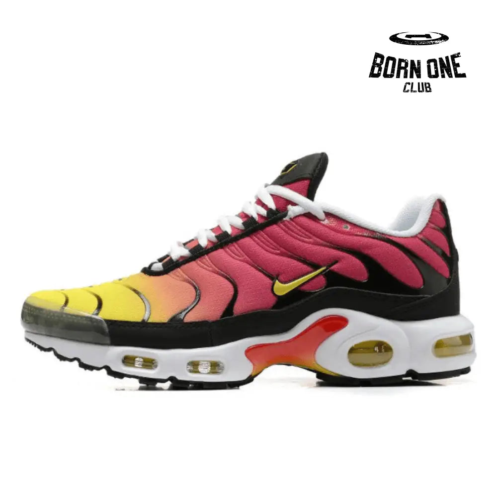 Air Max TN Plus Raibow