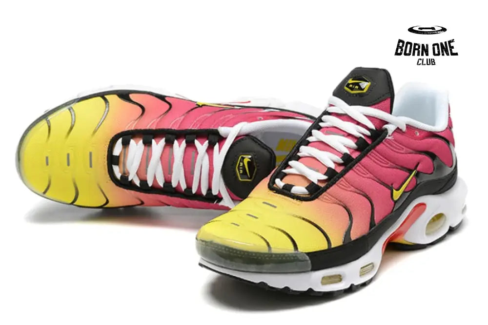 Air Max TN Plus Raibow