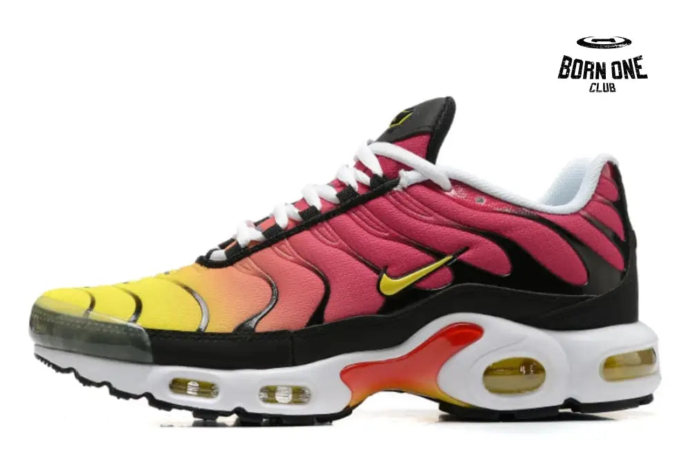Air Max TN Plus Raibow