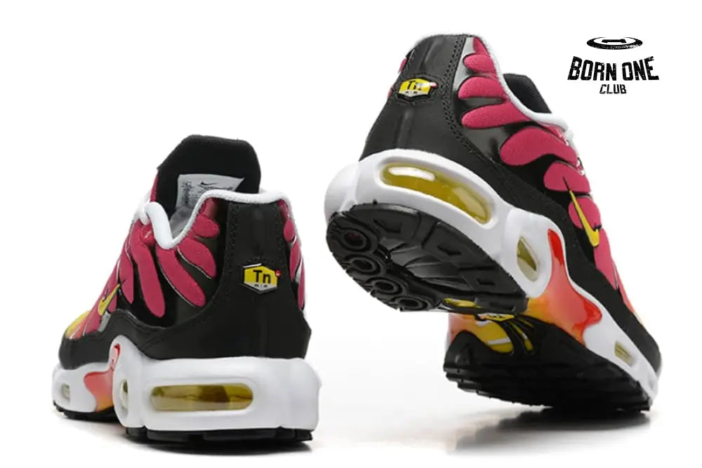Air Max TN Plus Raibow