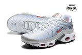 Air Max TN Plus Silver Red