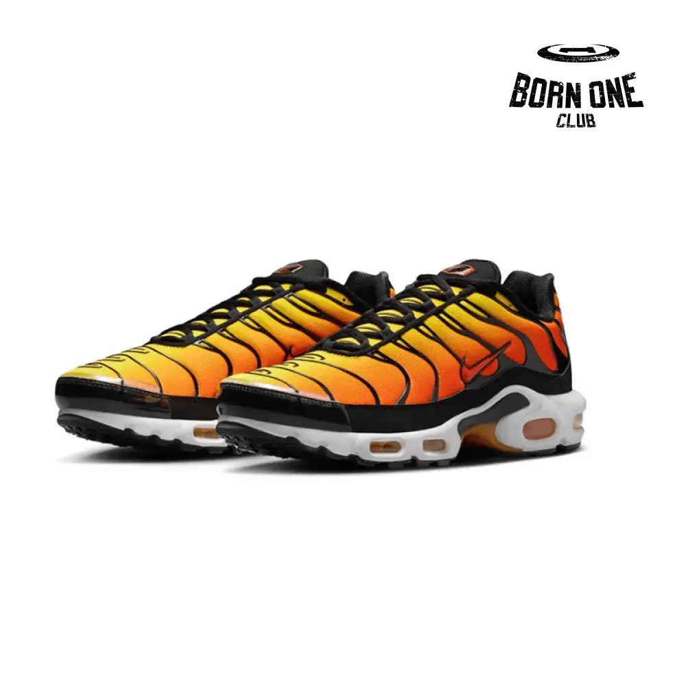 Air Max TN Plus Sunset
