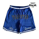 Bermuda Ts Mesh Shorts Blue Trapstar Tracksuits P